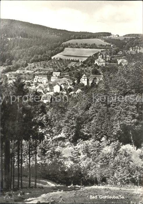 Bad Gottleuba-Berggiesshuebel