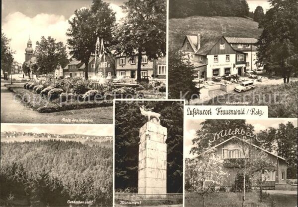 Frauenwald Thueringen Fraubachmühle Monument Milchbar Platz d