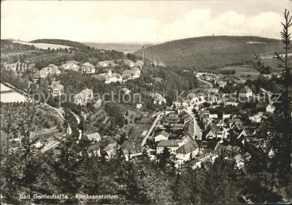 Bad Gottleuba-Berggiesshuebel Kliniksanatorium