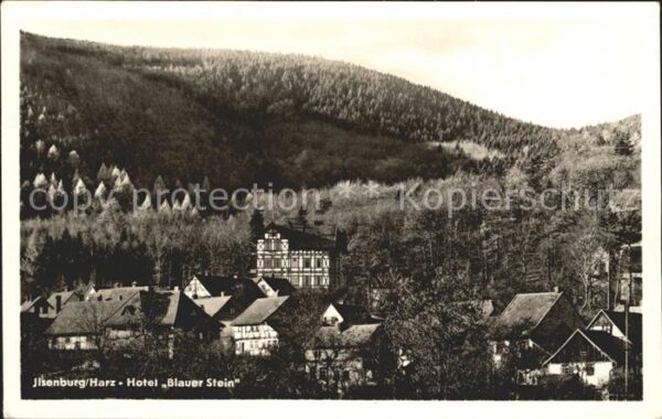 Ilsenburg Harz Hotel Blauer Stein