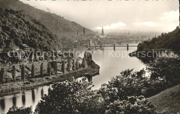 Heidelberg Neckar Partie am Neckar in der Abendsonne