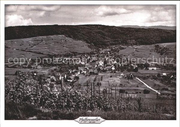 Pfaffenweiler Breisgau Panorama
