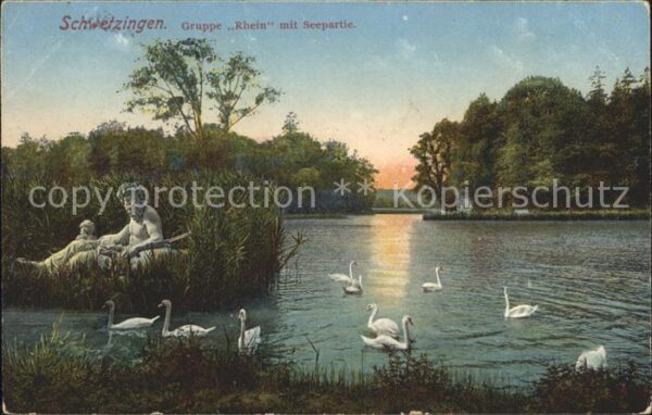 Schwetzingen Gruppe Rhein mit Seepartie Schwäne