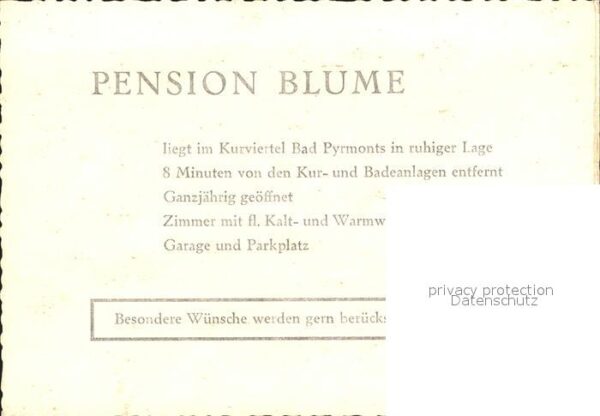Bad Pyrmont Pension Blume – Bild 2