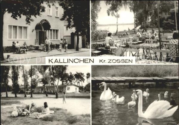 Kallinchen Hotel Restaurant Alter Krug Terrasse Sc