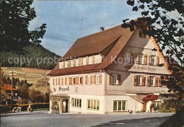 Baiersbronn Schwarzwald Gasthof Pension Pappel