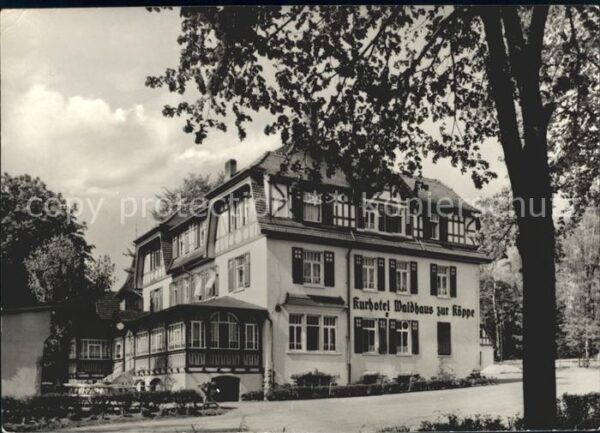 Bad Klosterlausnitz Kurhotel Waldhaus zur Köppe