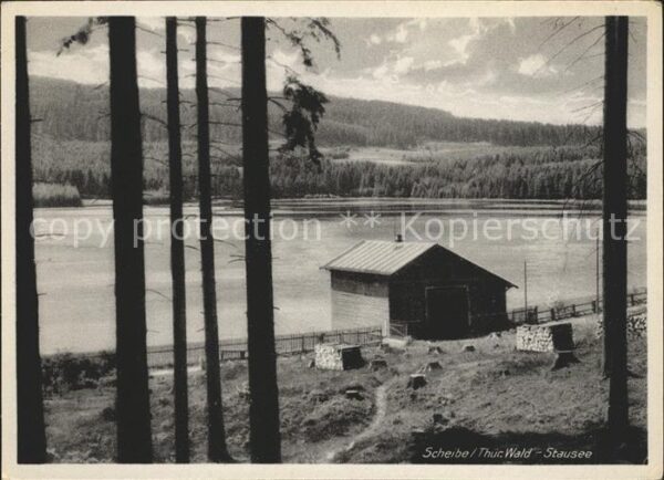 Scheibe-Alsbach Stausee Thüringer Wald