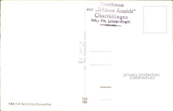 Obertuellingen Alpenpanorama vom Garten Gasthaus Zur s – Bild 2