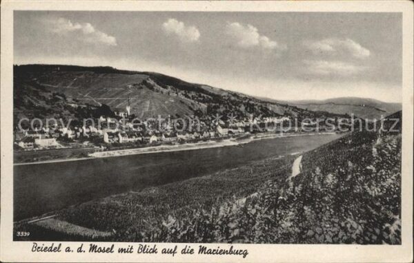 Briedel Panorama Mosel Blick auf die Marienburg