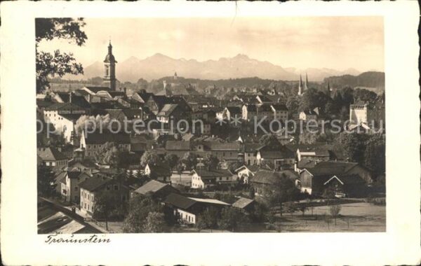 Traunstein Oberbayern Stadtbild mit Alpen Chamois Bütten