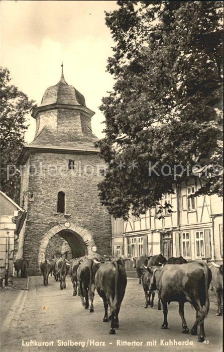 Stolberg Harz Rittertor mit Kuhherde Luftkurort