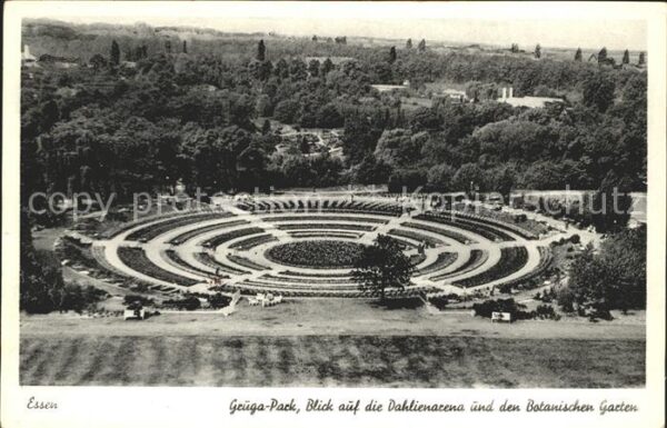 Essen Ruhr Grugapark Dahlienarena Botanischer Gart