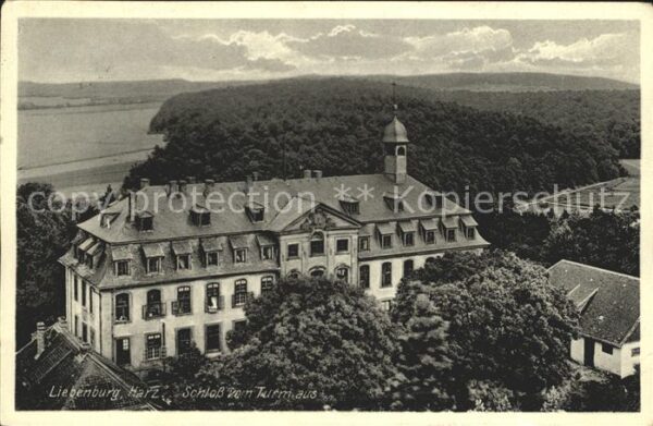 Liebenburg Schloss vom Turm aus