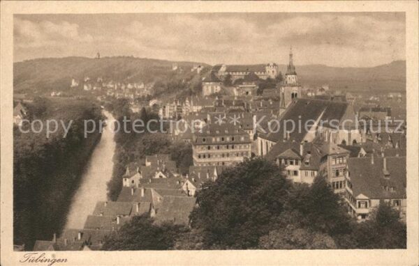 Tuebingen Stadtansicht von Osten