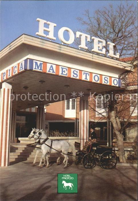 Lipica Hotel Maestoso Pferdekutsche