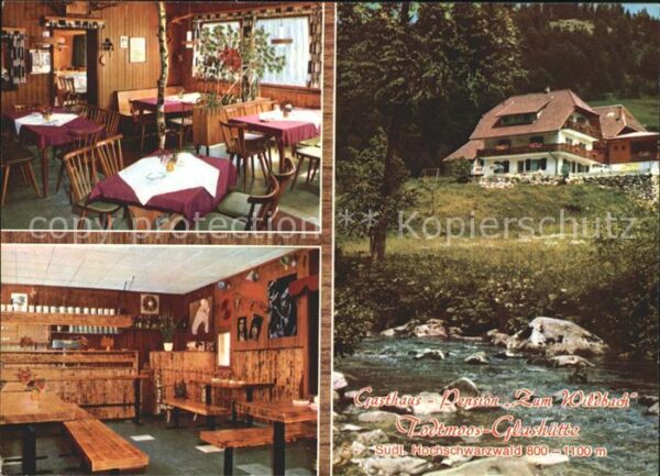 Glashuette Todtmoos Gasthaus Pension Zum Wildbach Bachlauf