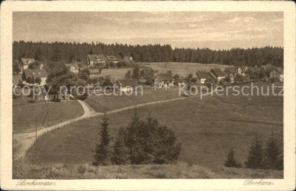 Bockswiese-Hahnenklee Harz Ortsansicht