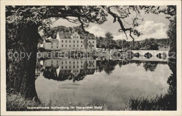 Grillenburg Teich Brücke
