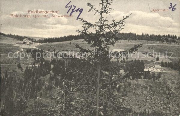 Feldberg Schwarzwald Feldbergerhof Jägermatte