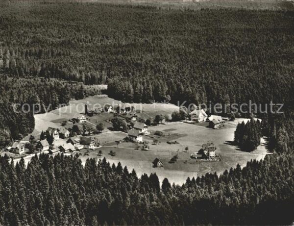 Zwieselberg Freudenstadt Schwarzwaldgasthof Auerhahn Nebenvilla