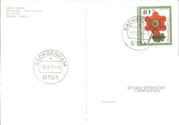 Sachsenkam Garni Frieda – Bild 2