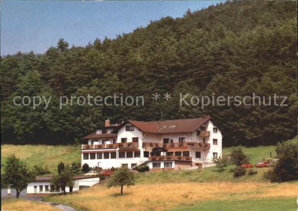 Reichelsheim Odenwald Gasthaus Pension Zum Lärmfeur