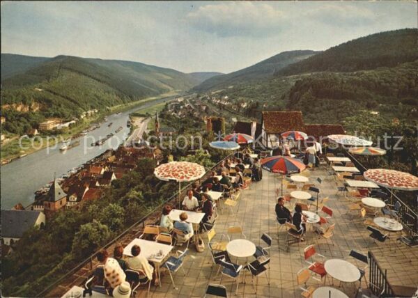 Hirschhorn Neckar von Burgterrasse Blick ins Neckartal