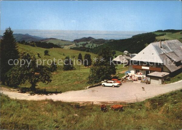 Muenstertal Schwarzwald Gasthaus Pension Zähringer Hof