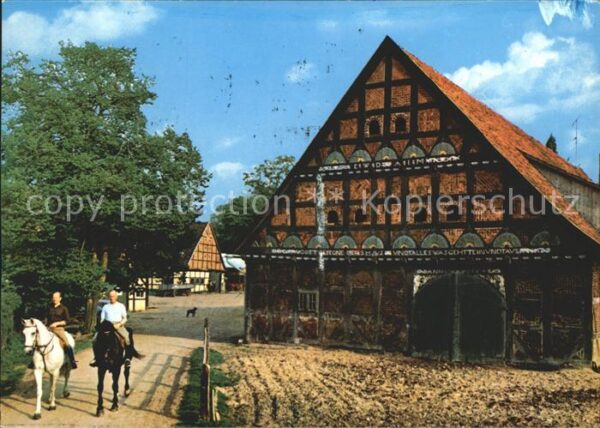 Medingen Bad Bevensen Klosterhof Pferde