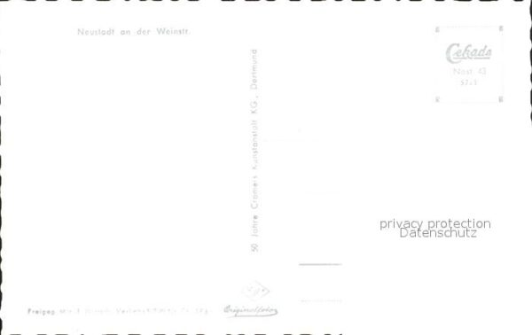 Neustadt Weinstrasse Fliegeraufnahme – Bild 2