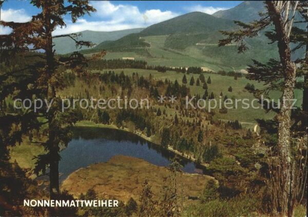 Neuenweg Nonnenmattweiher