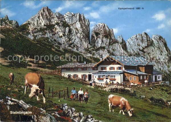 Chiemsee Steinlingalm Kampenwand Kühe