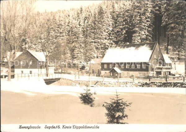 Seyde Zwergbaude