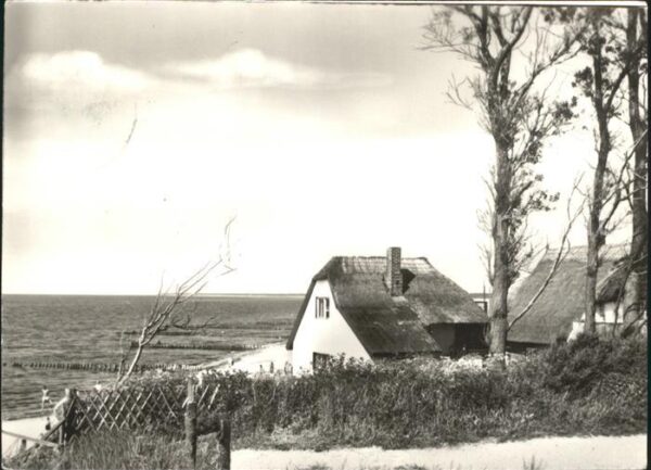 Ahrenshoop Ostseebad Steilufer