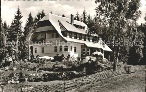 Hinterzarten Pension Hochschwarzwald