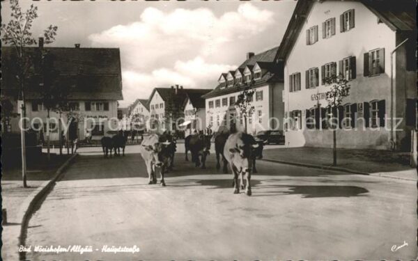 Bad Woerishofen Hauptstrasse Kühe Gasthof