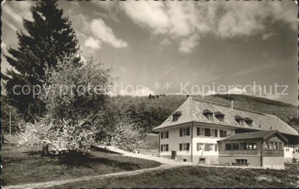 Loerrach Jugendherberge Platzhof