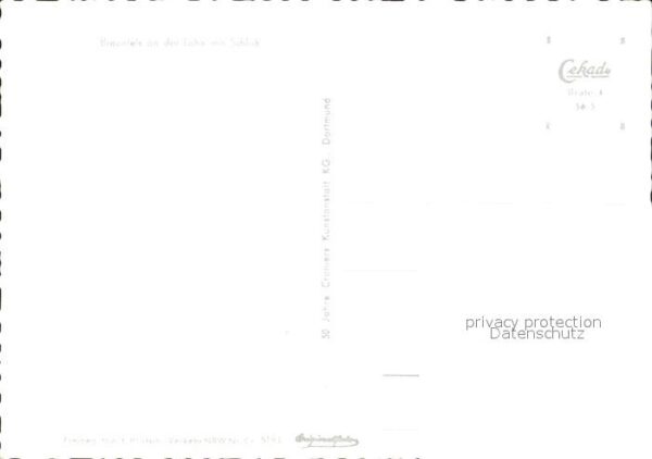 Braunfels Fliegeraufnahme Schloss – Bild 2