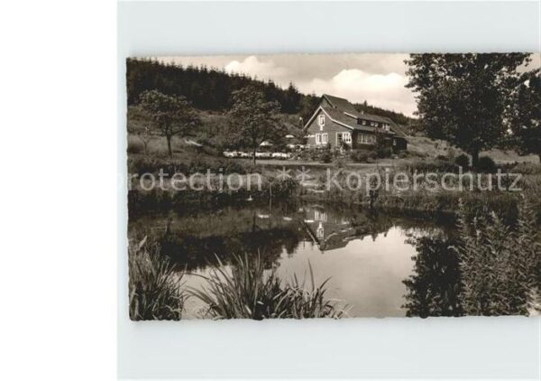Braunlage Waldgaststätte Forellenteich