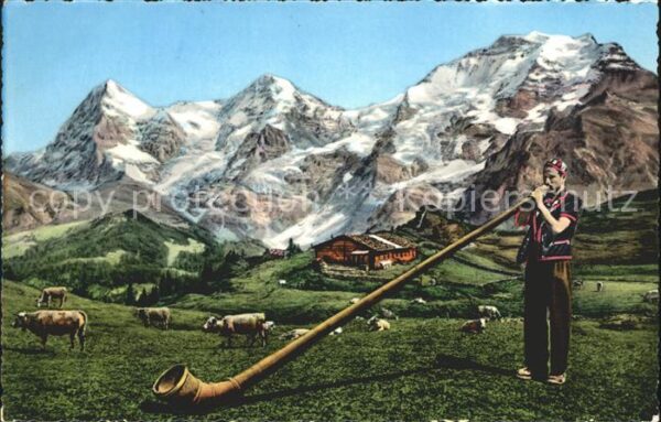 Alphorn Alphornbläser Alpen Kühe