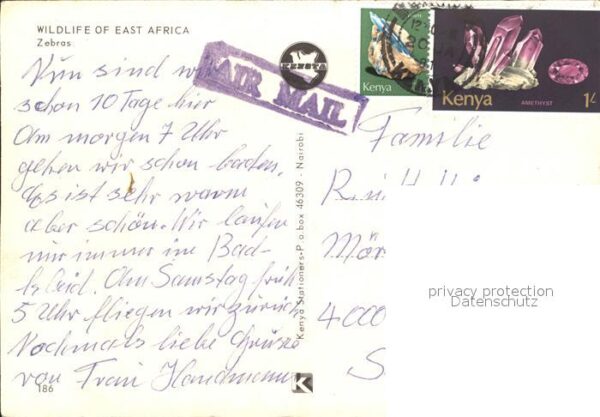 Zebra East Africa Ostafrika – Bild 2