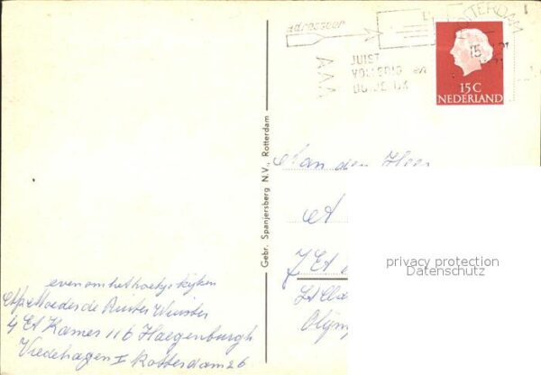 Pferde – Bild 2
