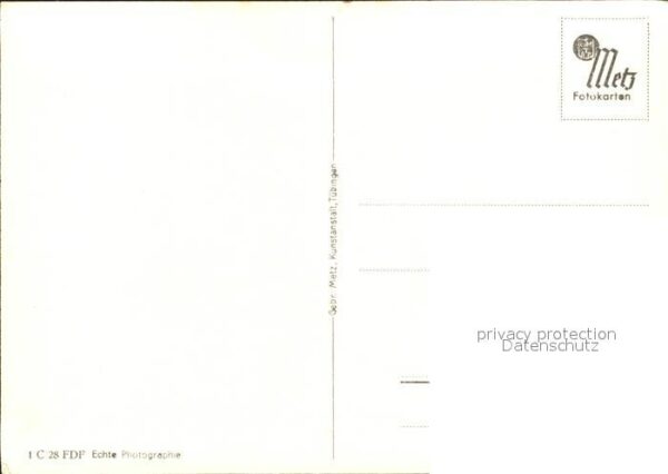 Schwan Schwanenfamilie – Bild 2