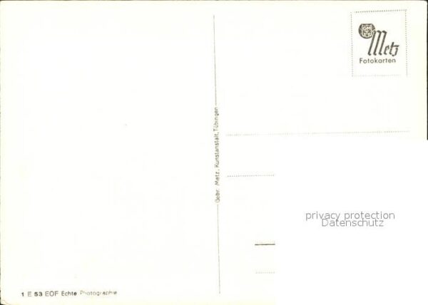 Maigloeckchen – Bild 2
