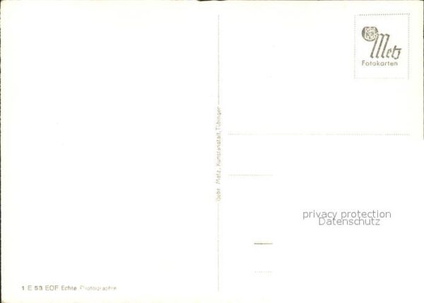 Maigloeckchen – Bild 2