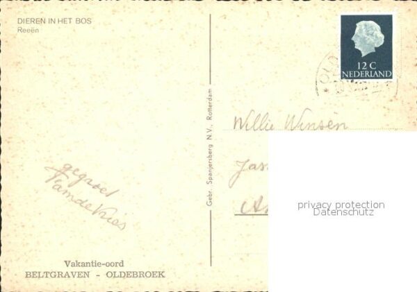 Reh Rehkitz – Bild 2