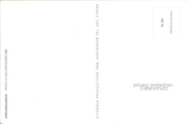 Affen Paviane – Bild 2