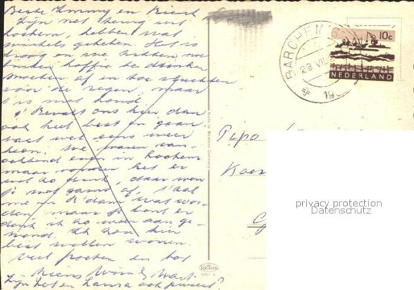 Hunde Langhaardackel Welpen – Bild 2