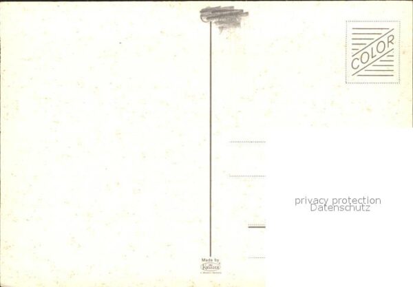 Kuehe – Bild 2